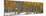 Panoramic View of Aspen Trees in Winter Time-SNEHITDESIGN-Mounted Photographic Print