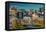 Panoramic view of Baltimore Inner Harbour, Maryland - shot from Federal Park Hill-null-Framed Premier Image Canvas