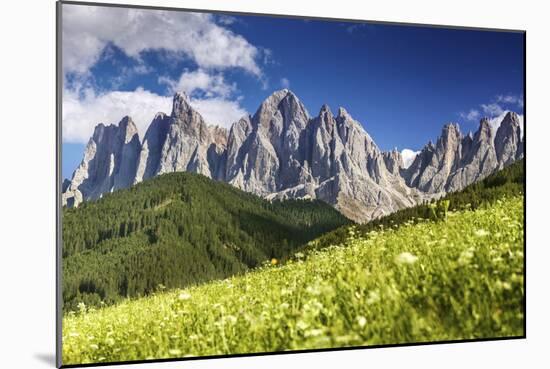 Panoramic View of Dolomite Alps and Forest, Northern Italy-null-Mounted Photographic Print