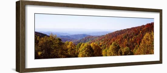 Panoramic view of hilly area covered by forest, Blue Ridge Parkway, North Carolina, USA-Panoramic Images-Framed Premium Photographic Print