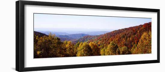 Panoramic view of hilly area covered by forest, Blue Ridge Parkway, North Carolina, USA-Panoramic Images-Framed Premium Photographic Print