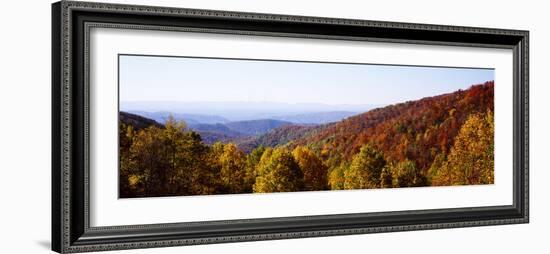 Panoramic view of hilly area covered by forest, Blue Ridge Parkway, North Carolina, USA-Panoramic Images-Framed Premium Photographic Print