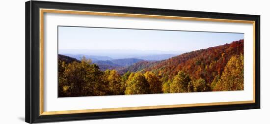 Panoramic view of hilly area covered by forest, Blue Ridge Parkway, North Carolina, USA-Panoramic Images-Framed Premium Photographic Print