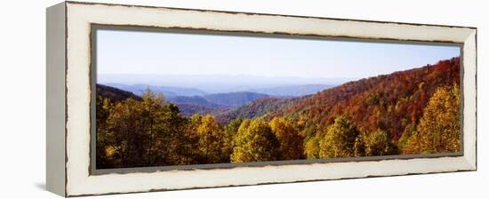 Panoramic view of hilly area covered by forest, Blue Ridge Parkway, North Carolina, USA-Panoramic Images-Framed Premier Image Canvas