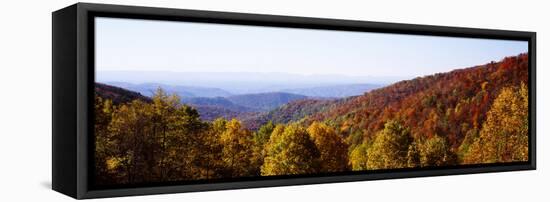 Panoramic view of hilly area covered by forest, Blue Ridge Parkway, North Carolina, USA-Panoramic Images-Framed Premier Image Canvas