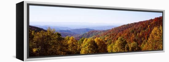 Panoramic view of hilly area covered by forest, Blue Ridge Parkway, North Carolina, USA-Panoramic Images-Framed Premier Image Canvas