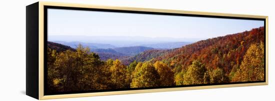 Panoramic view of hilly area covered by forest, Blue Ridge Parkway, North Carolina, USA-Panoramic Images-Framed Premier Image Canvas
