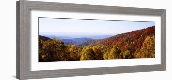 Panoramic view of hilly area covered by forest, Blue Ridge Parkway, North Carolina, USA-Panoramic Images-Framed Photographic Print