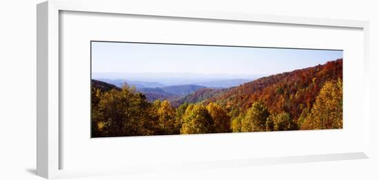 Panoramic view of hilly area covered by forest, Blue Ridge Parkway, North Carolina, USA-Panoramic Images-Framed Photographic Print