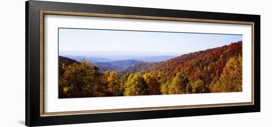 Panoramic view of hilly area covered by forest, Blue Ridge Parkway, North Carolina, USA-Panoramic Images-Framed Photographic Print