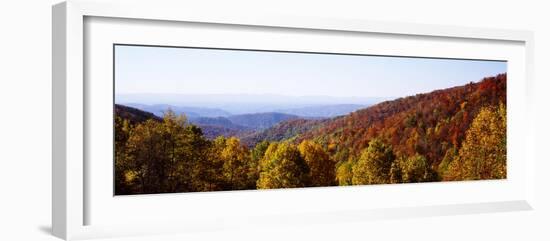 Panoramic view of hilly area covered by forest, Blue Ridge Parkway, North Carolina, USA-Panoramic Images-Framed Photographic Print