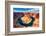 Panoramic View of Horseshoe Bend-prochasson-Framed Photographic Print