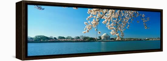 Panoramic View of Jefferson Memorial and Cherry Blossoms in Spring, Washington D.C.-null-Framed Stretched Canvas