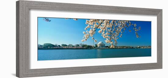 Panoramic View of Jefferson Memorial and Cherry Blossoms in Spring, Washington D.C.-null-Framed Photographic Print