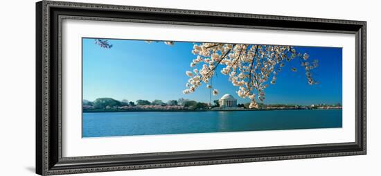 Panoramic View of Jefferson Memorial and Cherry Blossoms in Spring, Washington D.C.-null-Framed Photographic Print