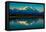 Panoramic view of Mount Denali, previously known as McKinley from Wonder Lake, Denali National P...-null-Framed Premier Image Canvas