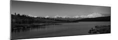 Photographic Print