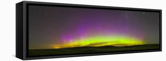 Panoramic View of Northern Lights on the Horizon, Saskatchewan, Canada-null-Framed Premier Image Canvas