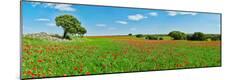 Premium Photographic Print