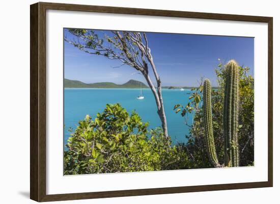 Panoramic View of Spearn Bay from a Hill Overlooking the Quiet Lagoon Visited by Many Sailboats-Roberto Moiola-Framed Photographic Print