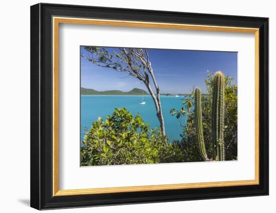 Panoramic View of Spearn Bay from a Hill Overlooking the Quiet Lagoon Visited by Many Sailboats-Roberto Moiola-Framed Photographic Print