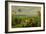 Panoramic View of the Harbour at Nassau in the Bahamas-Albert Bierstadt-Framed Giclee Print