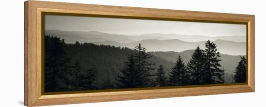 Panoramic View of Trees, Great Smoky Mountains National Park, North Carolina, USA-null-Framed Premier Image Canvas