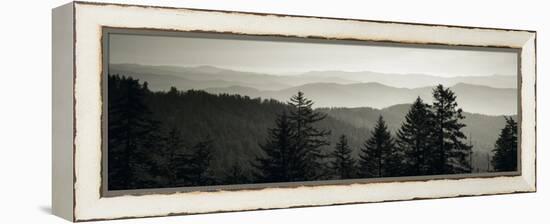 Panoramic View of Trees, Great Smoky Mountains National Park, North Carolina, USA-null-Framed Premier Image Canvas