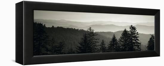 Panoramic View of Trees, Great Smoky Mountains National Park, North Carolina, USA-null-Framed Premier Image Canvas