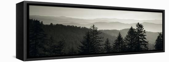 Panoramic View of Trees, Great Smoky Mountains National Park, North Carolina, USA-null-Framed Premier Image Canvas