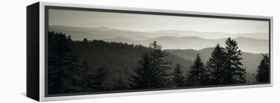 Panoramic View of Trees, Great Smoky Mountains National Park, North Carolina, USA-null-Framed Premier Image Canvas