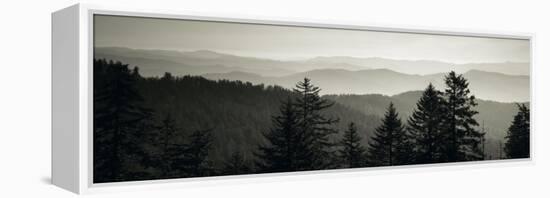 Panoramic View of Trees, Great Smoky Mountains National Park, North Carolina, USA-null-Framed Premier Image Canvas