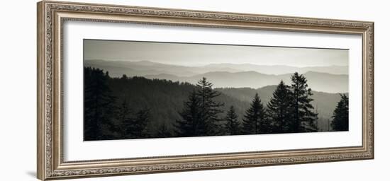 Panoramic View of Trees, Great Smoky Mountains National Park, North Carolina, USA-null-Framed Photographic Print