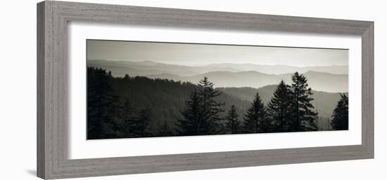 Panoramic View of Trees, Great Smoky Mountains National Park, North Carolina, USA-null-Framed Photographic Print