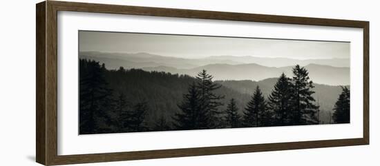 Panoramic View of Trees, Great Smoky Mountains National Park, North Carolina, USA-null-Framed Photographic Print