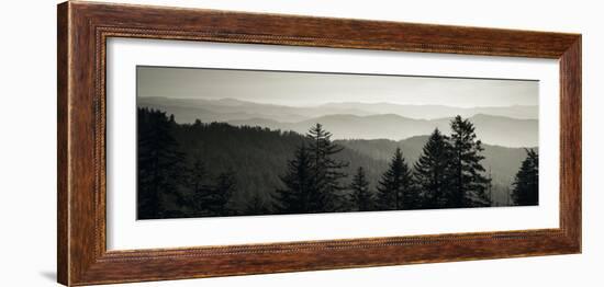 Panoramic View of Trees, Great Smoky Mountains National Park, North Carolina, USA-null-Framed Photographic Print