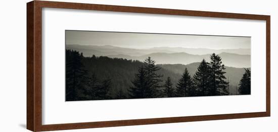Panoramic View of Trees, Great Smoky Mountains National Park, North Carolina, USA-null-Framed Photographic Print