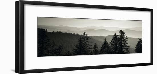 Panoramic View of Trees, Great Smoky Mountains National Park, North Carolina, USA-null-Framed Photographic Print