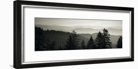 Panoramic View of Trees, Great Smoky Mountains National Park, North Carolina, USA-null-Framed Photographic Print