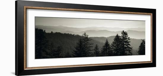Panoramic View of Trees, Great Smoky Mountains National Park, North Carolina, USA-null-Framed Photographic Print