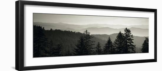 Panoramic View of Trees, Great Smoky Mountains National Park, North Carolina, USA-null-Framed Photographic Print