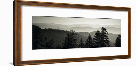 Panoramic View of Trees, Great Smoky Mountains National Park, North Carolina, USA-null-Framed Photographic Print