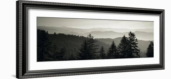 Panoramic View of Trees, Great Smoky Mountains National Park, North Carolina, USA-null-Framed Photographic Print