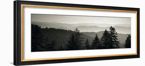 Panoramic View of Trees, Great Smoky Mountains National Park, North Carolina, USA-null-Framed Photographic Print