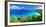 Panoramic View of Trunk Bay, St. John, USVI-George Oze-Framed Photographic Print