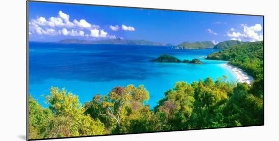 Panoramic View of Trunk Bay, St. John, USVI-George Oze-Mounted Photographic Print