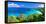 Panoramic View of Trunk Bay, St. John, USVI-George Oze-Framed Premier Image Canvas