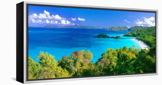 Panoramic View of Trunk Bay, St. John, USVI-George Oze-Framed Premier Image Canvas