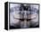 Panoramic X-Ray of Mouth-null-Framed Premier Image Canvas