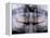 Panoramic X-Ray of Mouth-null-Framed Premier Image Canvas